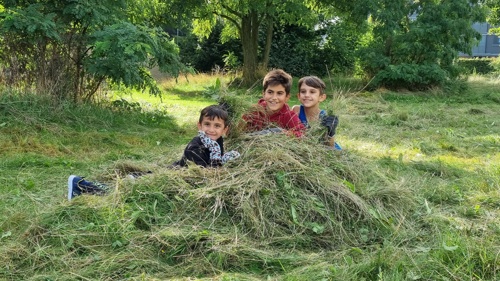 Drenge i høstak